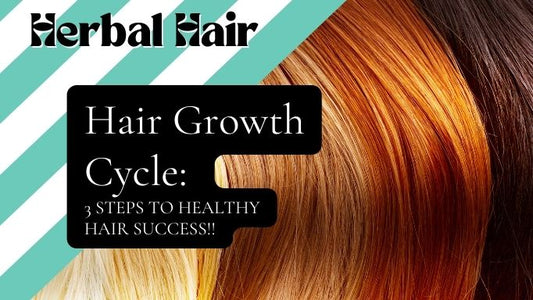 Hair Growth Cycle: 3 Steps to Healthy Hair Success